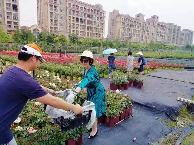 1495762565324328zW7O.jpg 1495762565324328zW7O.jpg